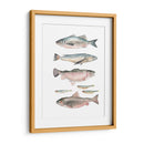 Composición De Peces I - Emma Scarvey | Cuadro decorativo de Canvas Lab