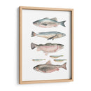 Composición De Peces I - Emma Scarvey | Cuadro decorativo de Canvas Lab