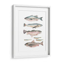 Composición De Peces I - Emma Scarvey | Cuadro decorativo de Canvas Lab