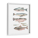 Composición De Peces I - Emma Scarvey | Cuadro decorativo de Canvas Lab