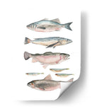 Composición De Peces I - Emma Scarvey | Cuadro decorativo de Canvas Lab