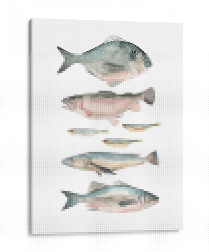 Composición De Peces Ii - Emma Scarvey | Cuadro decorativo de Canvas Lab