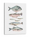 Composición De Peces Ii - Emma Scarvey | Cuadro decorativo de Canvas Lab