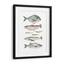 Composición De Peces Ii - Emma Scarvey | Cuadro decorativo de Canvas Lab