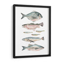 Composición De Peces Ii - Emma Scarvey | Cuadro decorativo de Canvas Lab