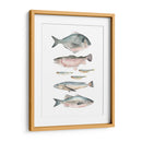Composición De Peces Ii - Emma Scarvey | Cuadro decorativo de Canvas Lab