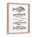 Composición De Peces Ii - Emma Scarvey | Cuadro decorativo de Canvas Lab