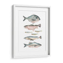 Composición De Peces Ii - Emma Scarvey | Cuadro decorativo de Canvas Lab
