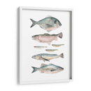 Composición De Peces Ii - Emma Scarvey | Cuadro decorativo de Canvas Lab