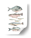 Composición De Peces Ii - Emma Scarvey | Cuadro decorativo de Canvas Lab