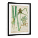 Descubes Botanical Grass Iii - A. Descubes | Cuadro decorativo de Canvas Lab