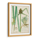 Descubes Botanical Grass Iii - A. Descubes | Cuadro decorativo de Canvas Lab