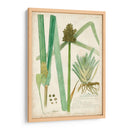 Descubes Botanical Grass Iii - A. Descubes | Cuadro decorativo de Canvas Lab