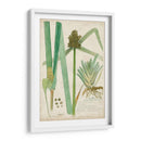 Descubes Botanical Grass Iii - A. Descubes | Cuadro decorativo de Canvas Lab