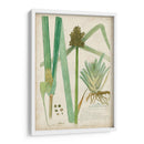 Descubes Botanical Grass Iii - A. Descubes | Cuadro decorativo de Canvas Lab