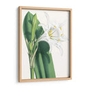 Belleza Floral I - Vision Studio | Cuadro decorativo de Canvas Lab