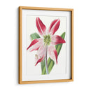Belleza Floral Ii - Vision Studio | Cuadro decorativo de Canvas Lab