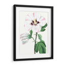 Belleza Floral Iii - Vision Studio | Cuadro decorativo de Canvas Lab