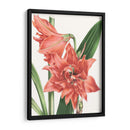 Belleza Floral Vii - Vision Studio | Cuadro decorativo de Canvas Lab