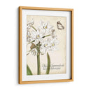 Narciso Botanique I - Vision Studio | Cuadro decorativo de Canvas Lab