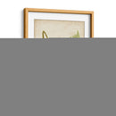 Fern Trio I - Vision Studio | Cuadro decorativo de Canvas Lab