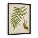 Fern Trio Iii - Vision Studio | Cuadro decorativo de Canvas Lab