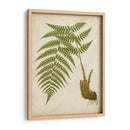 Fern Trio Iii - Vision Studio | Cuadro decorativo de Canvas Lab