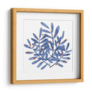 Impresiones Botánicas Ii - Emma Scarvey | Cuadro decorativo de Canvas Lab