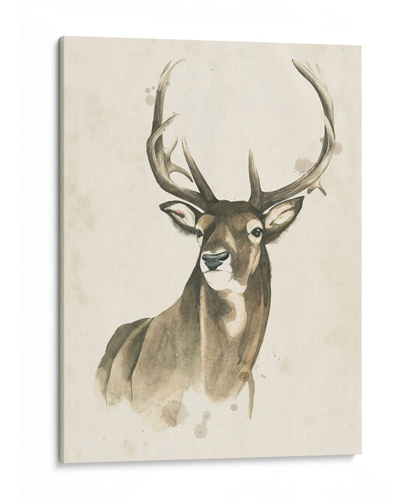 Woods Woods I - Grace Popp | Cuadro decorativo de Canvas Lab
