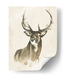 Woods Woods I - Grace Popp | Cuadro decorativo de Canvas Lab