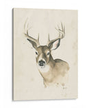 Woods Woods Ii - Grace Popp | Cuadro decorativo de Canvas Lab