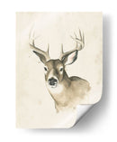 Woods Woods Ii - Grace Popp | Cuadro decorativo de Canvas Lab