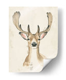 Woods Woods Iii - Grace Popp | Cuadro decorativo de Canvas Lab