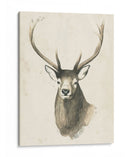 Watchul Woods Iv - Grace Popp | Cuadro decorativo de Canvas Lab