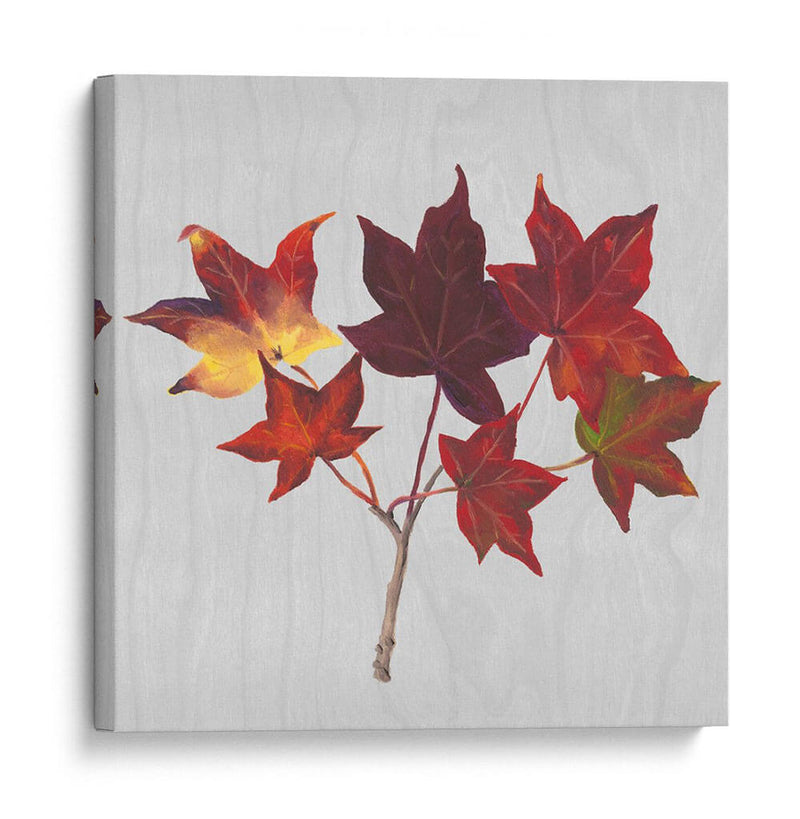 Hojas De Otoño I - Dianne Miller | Cuadro decorativo de Canvas Lab