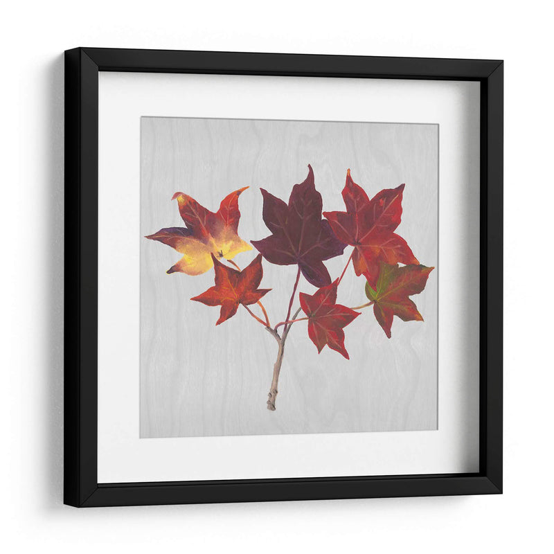 Hojas De Otoño I - Dianne Miller | Cuadro decorativo de Canvas Lab