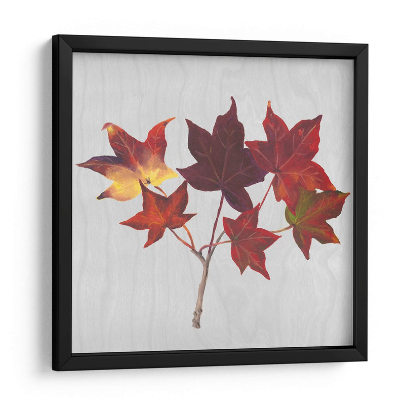 Hojas De Otoño I - Dianne Miller | Cuadro decorativo de Canvas Lab