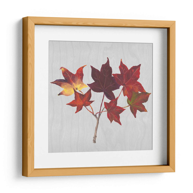 Hojas De Otoño I - Dianne Miller | Cuadro decorativo de Canvas Lab