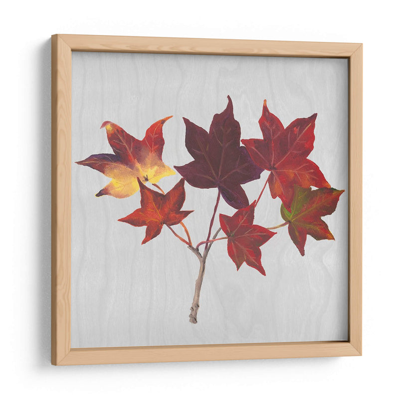 Hojas De Otoño I - Dianne Miller | Cuadro decorativo de Canvas Lab