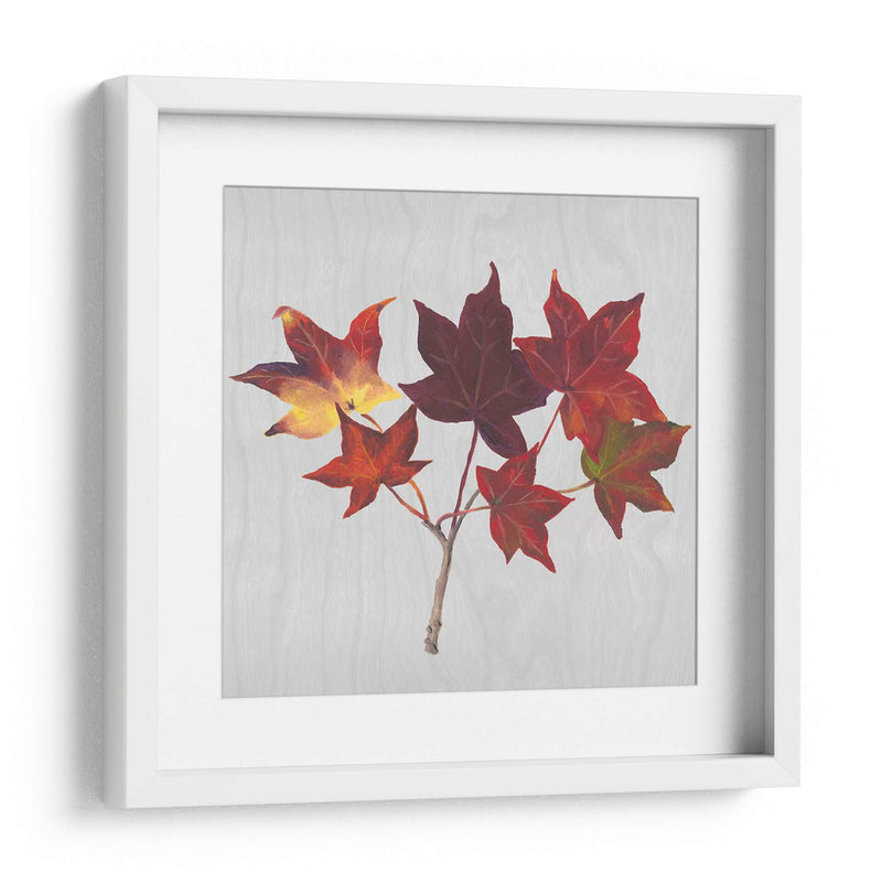 Hojas De Otoño I - Dianne Miller | Cuadro decorativo de Canvas Lab