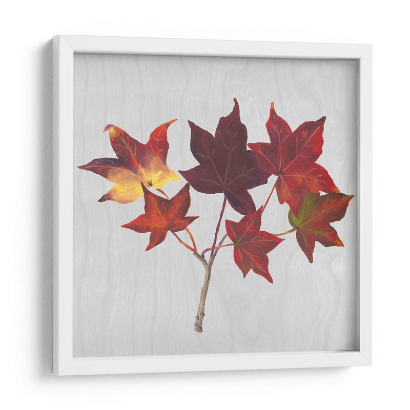 Hojas De Otoño I - Dianne Miller | Cuadro decorativo de Canvas Lab