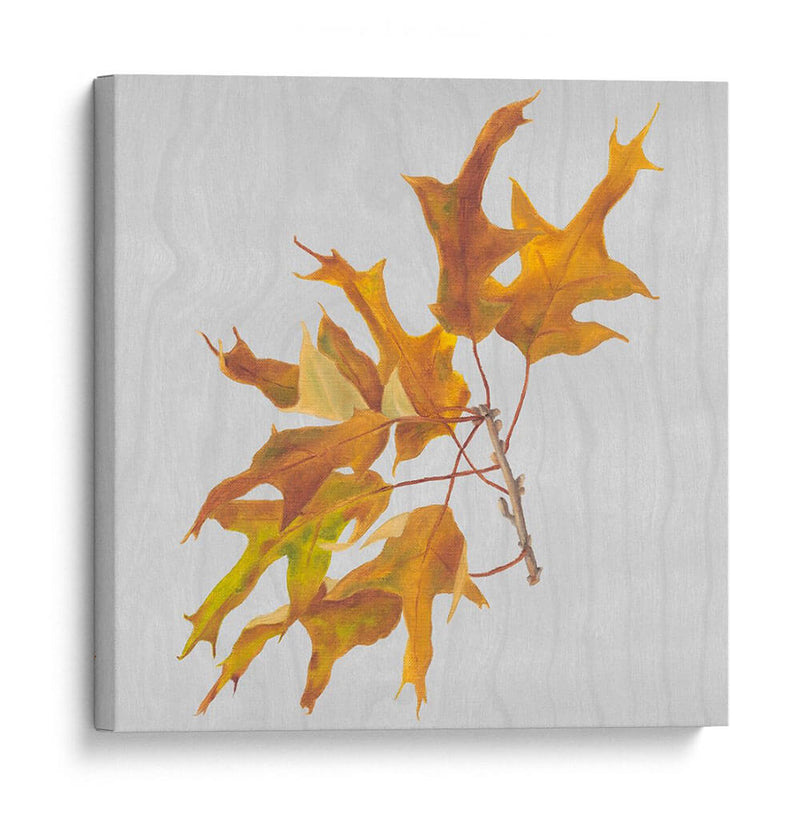 Hojas De Otoño Iii - Dianne Miller | Cuadro decorativo de Canvas Lab