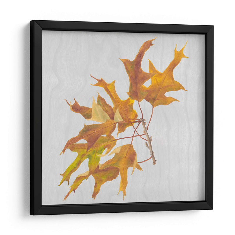 Hojas De Otoño Iii - Dianne Miller | Cuadro decorativo de Canvas Lab