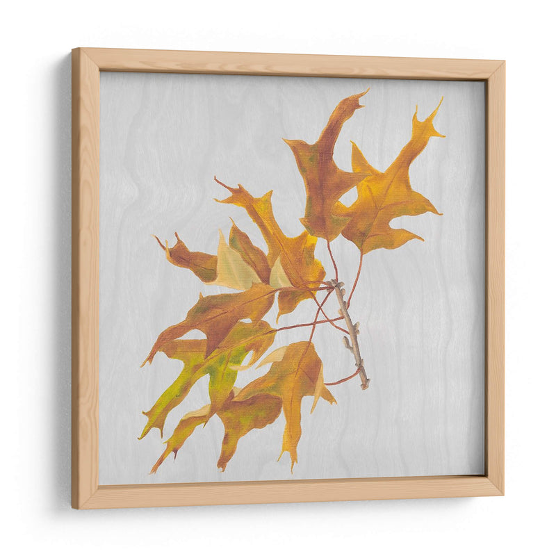 Hojas De Otoño Iii - Dianne Miller | Cuadro decorativo de Canvas Lab