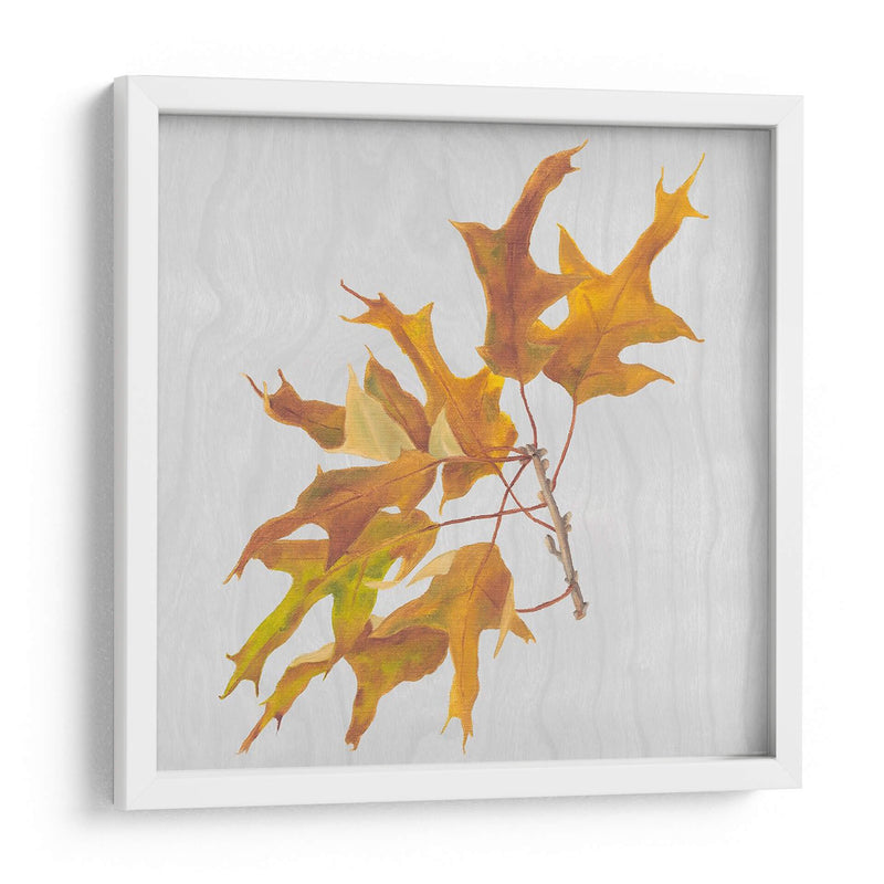 Hojas De Otoño Iii - Dianne Miller | Cuadro decorativo de Canvas Lab