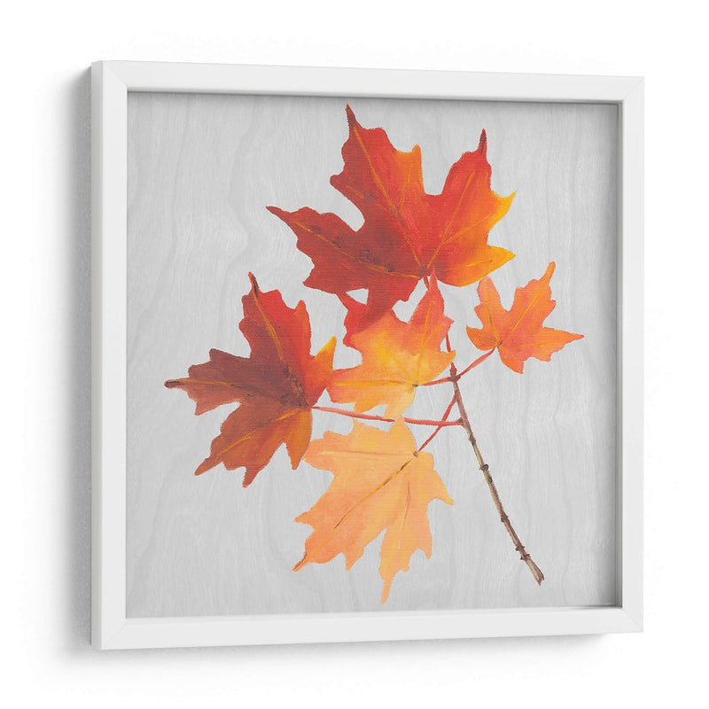 Hojas De Otoño Iv - Dianne Miller | Cuadro decorativo de Canvas Lab