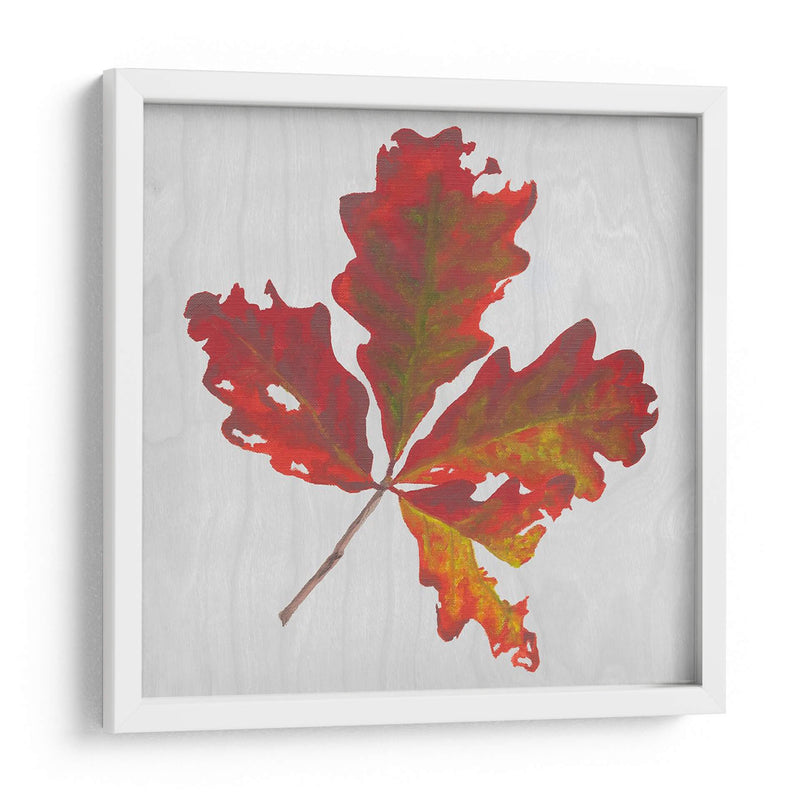 Hojas De Otoño V - Dianne Miller | Cuadro decorativo de Canvas Lab