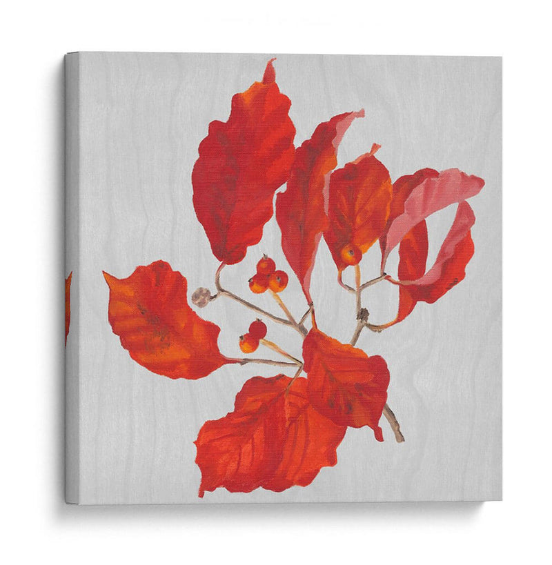 Hojas De Otoño Vi - Dianne Miller | Cuadro decorativo de Canvas Lab