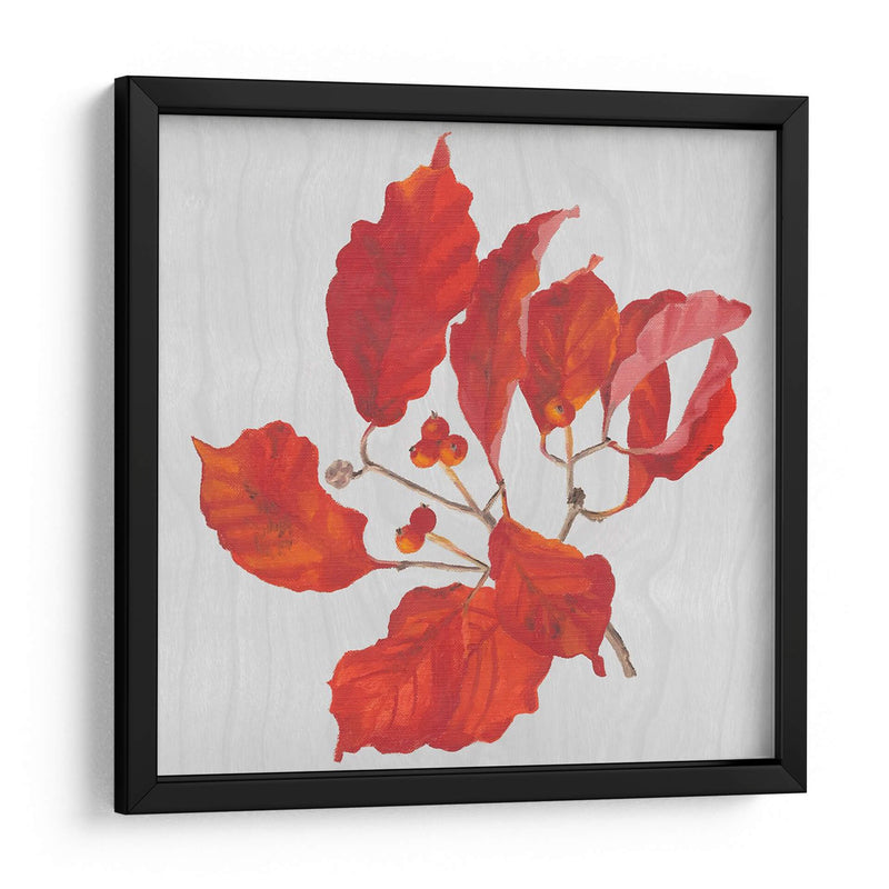 Hojas De Otoño Vi - Dianne Miller | Cuadro decorativo de Canvas Lab