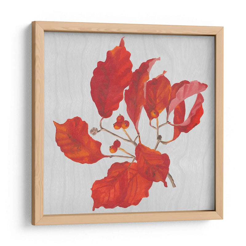 Hojas De Otoño Vi - Dianne Miller | Cuadro decorativo de Canvas Lab